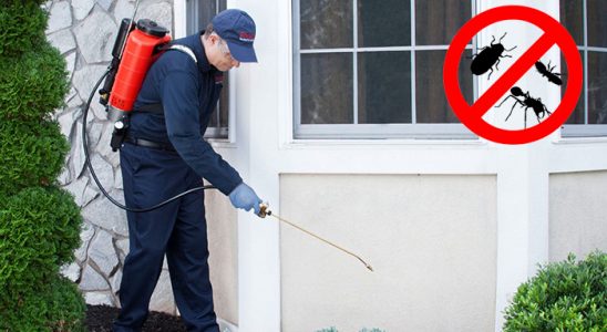 Harmancık Dezenfeksiyon böcek ilaçlama ve haşere kontrolü — ilaclama-tr.com